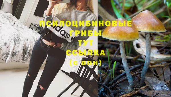 МДМА Алексеевка