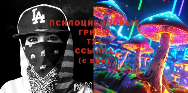 таблы Алзамай