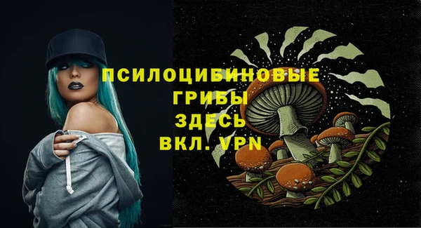 дмт Алексин